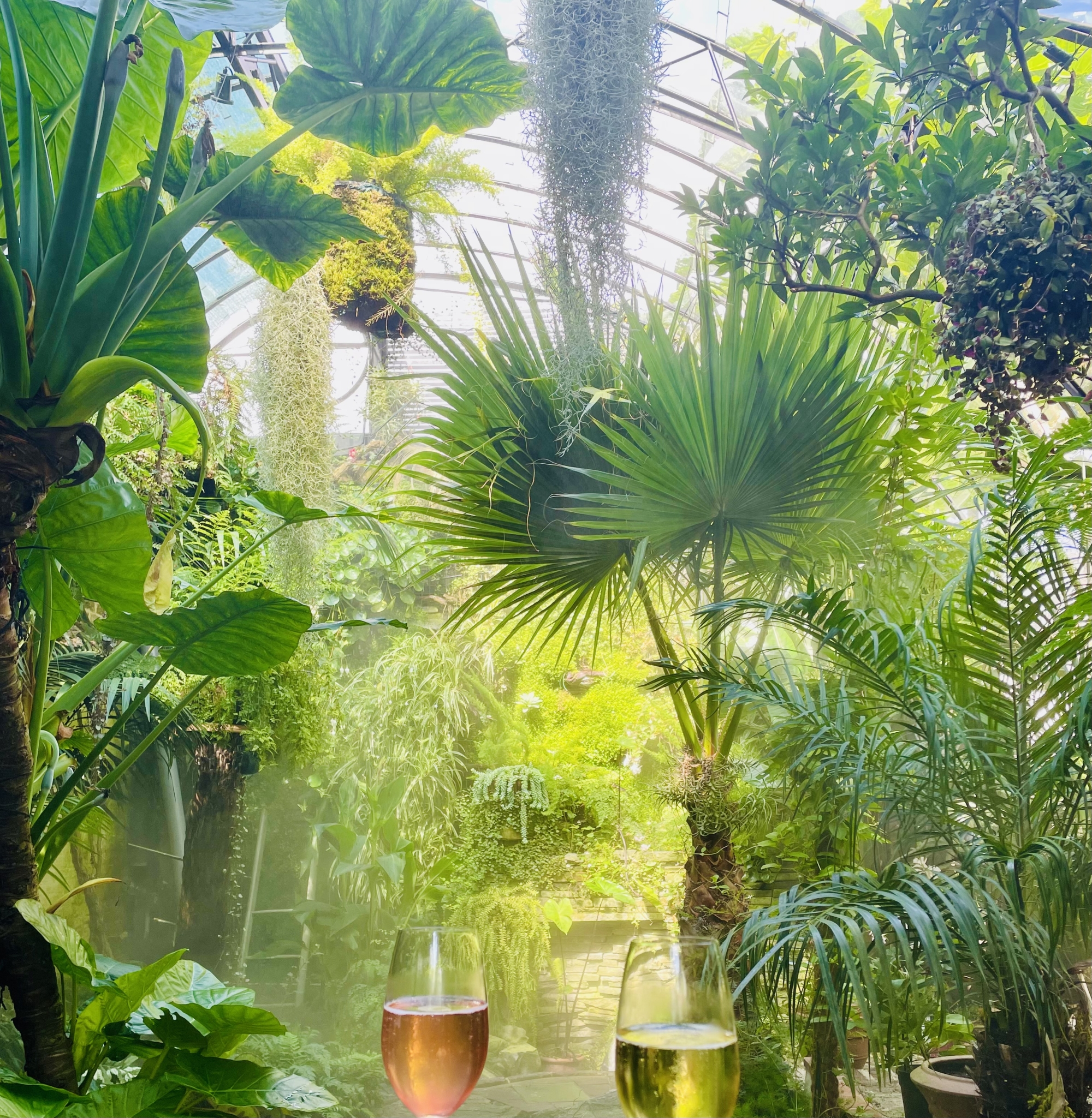 De tuin