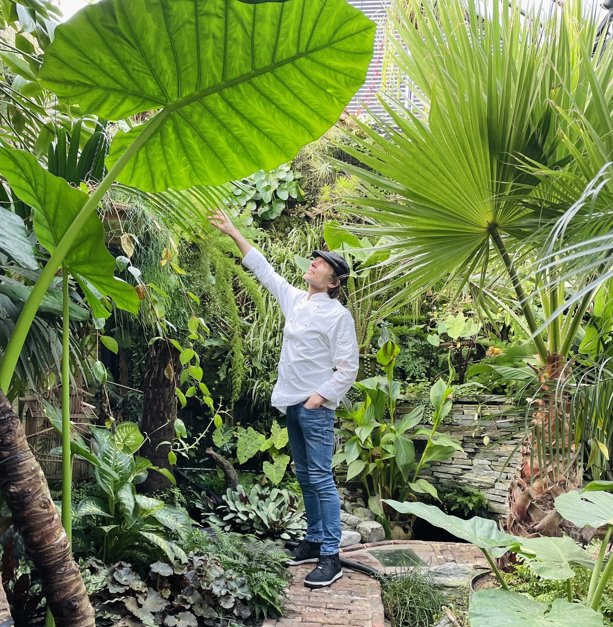 De tuin